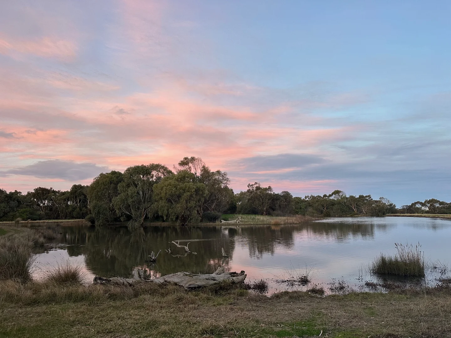 Additional image 2 of 14 Sun Orchid Drive, Chiton SA 5211