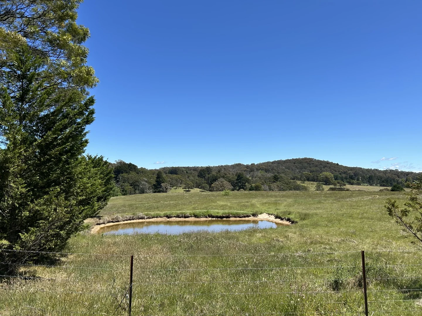 1202 Majors Creek Road, Majors Creek NSW 2622