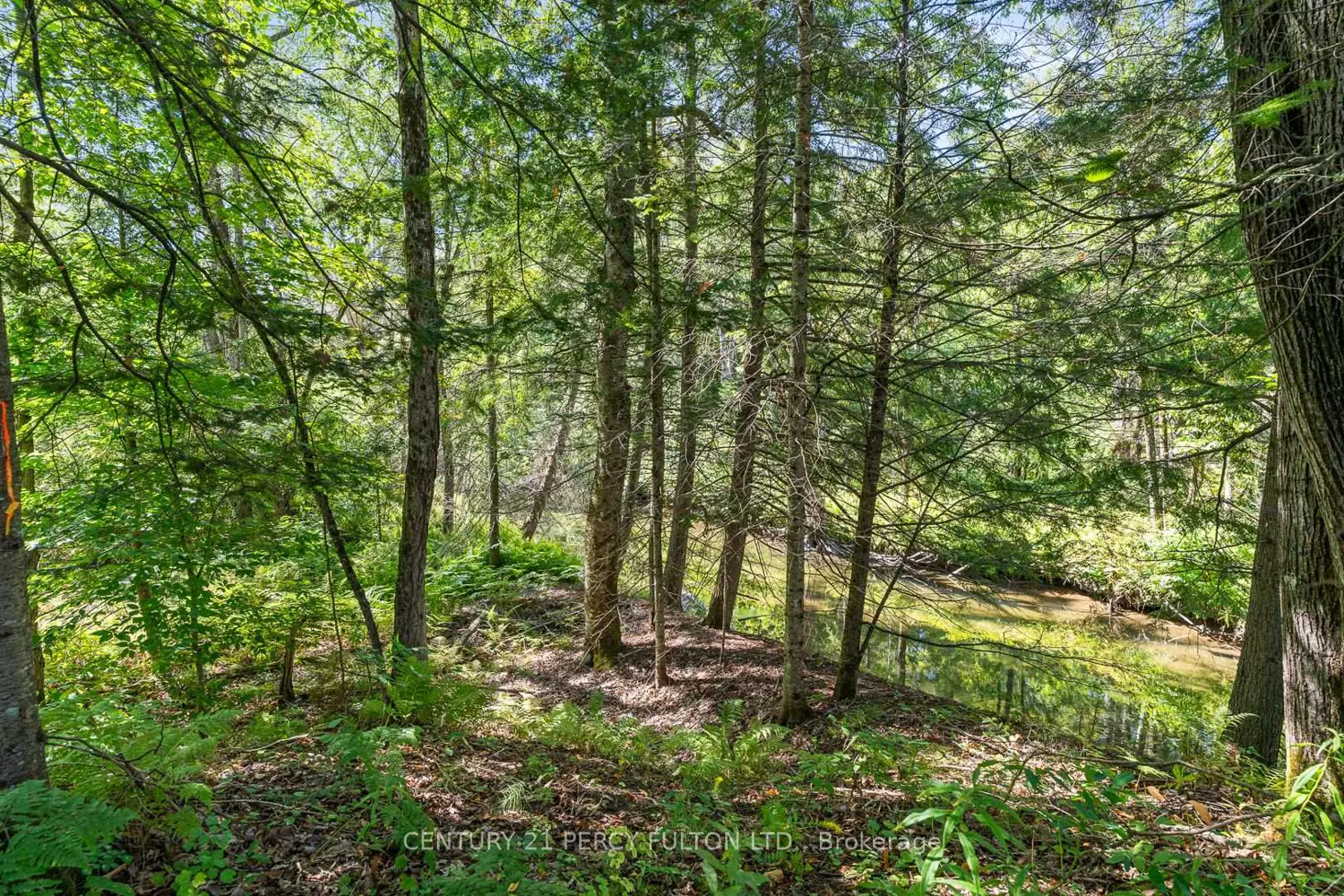 Additional image 19 of 1004 Rosseau Lake 1 Road