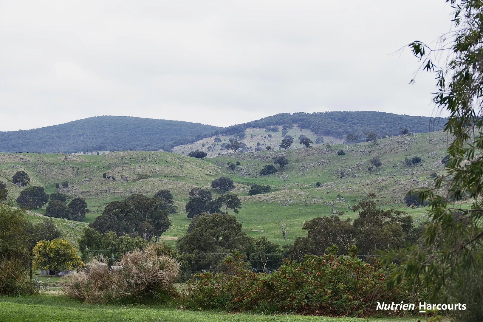 Additional image 18 of 109 Gall Lane, Balmattum VIC 3666