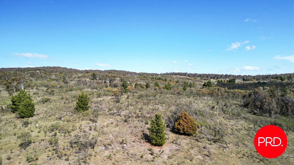 Additional image 14 of 215 Wirreanda Road, Wamboin NSW 2620