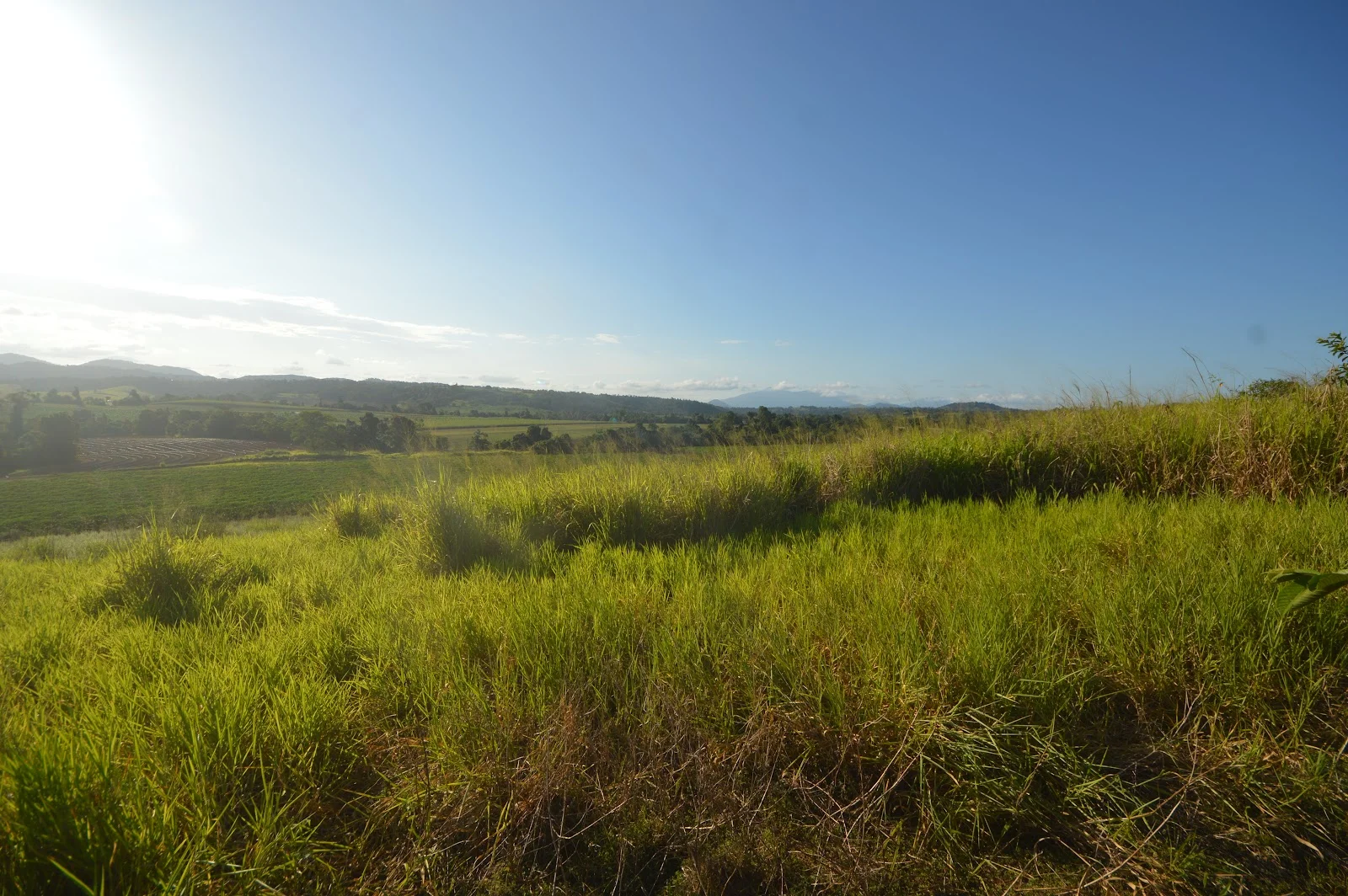 Additional image 17 of 1212 Innisfail Japoon Road, Camp Creek QLD 4871