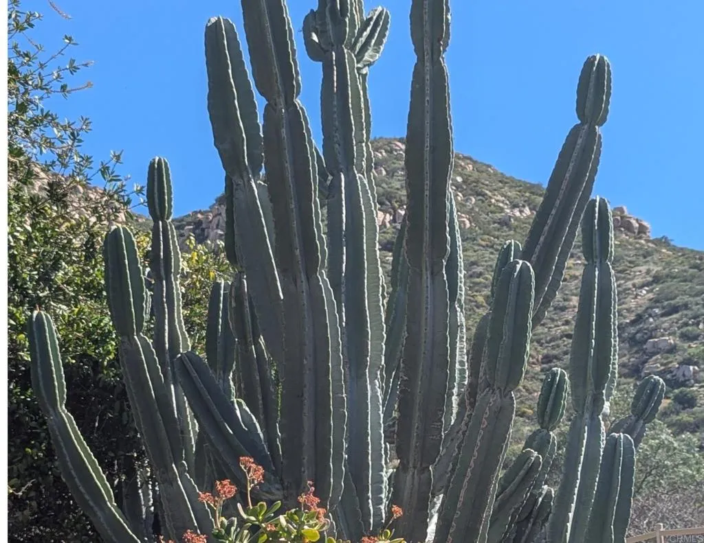 Additional image 82 of 3333 Suncrest Boulevard, El Cajon, CA 92021