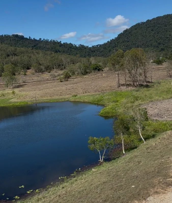 Additional image 9 of 104 Mount Ossa Seaforth Road, Mount Ossa QLD 4741
