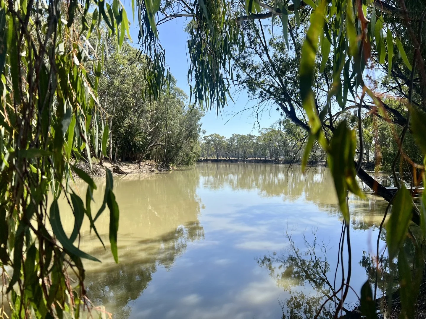 Additional image 19 of 29 Armstrong Drive, Barham NSW 2732