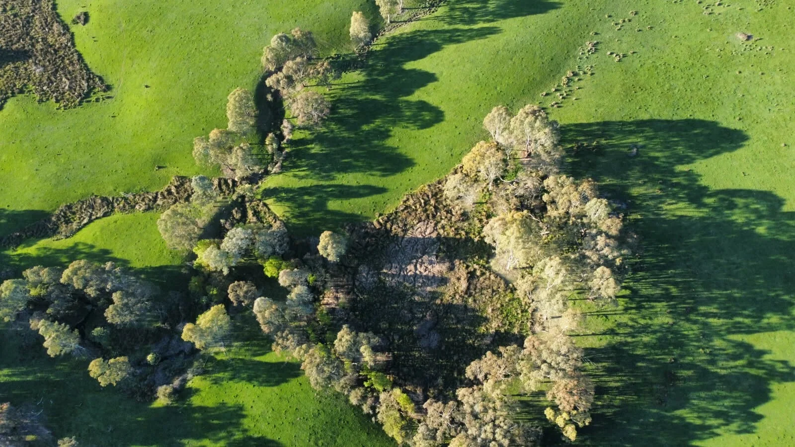 Additional image 4 of 409 McInnes Lane, Bobinawarrah VIC 3678