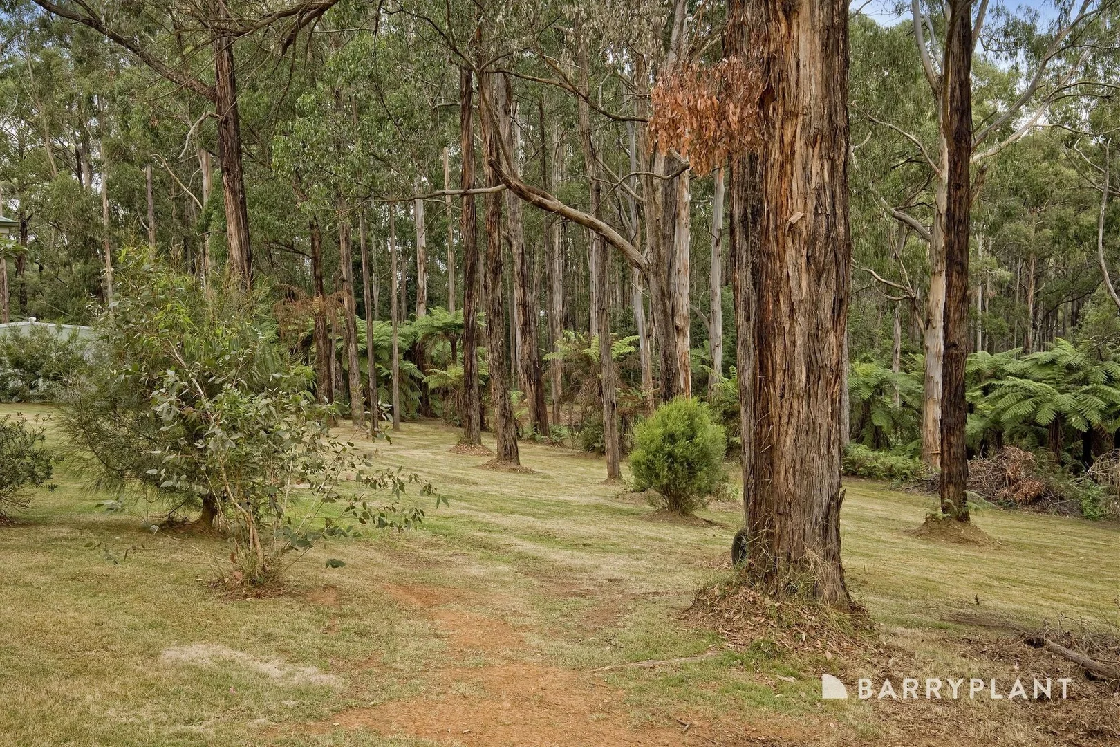Additional image 25 of 212 Gembrook Road, Gembrook VIC 3783