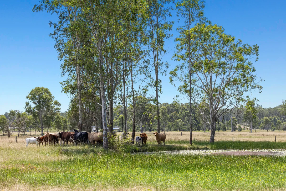 Additional image 33 of 8855 Summerland Way, Leeville NSW 2470