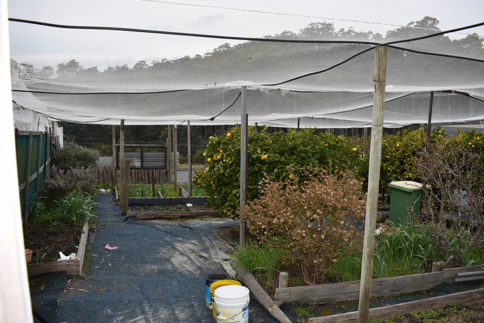 Additional image 11 of 1001 Holwell Road, Holwell TAS 7275