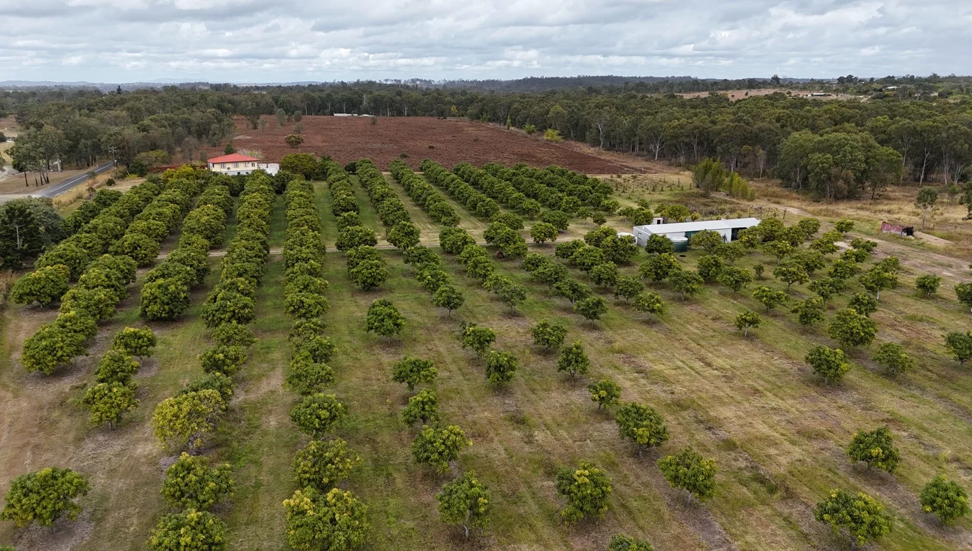 Additional image 8 of 70 Walla Road, Wallaville QLD 4671