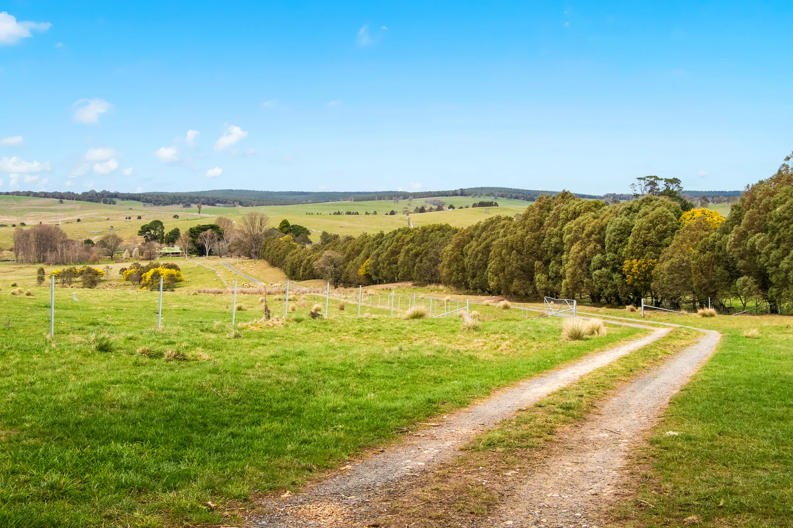 Additional image 35 of 171 Big Flat Road, Bombala NSW 2632