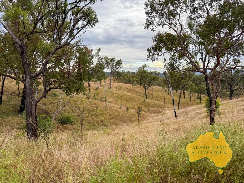 Additional image 4 of "Chapmans", Lot 14 Monto Mount Perry Road, Mungy QLD 4671