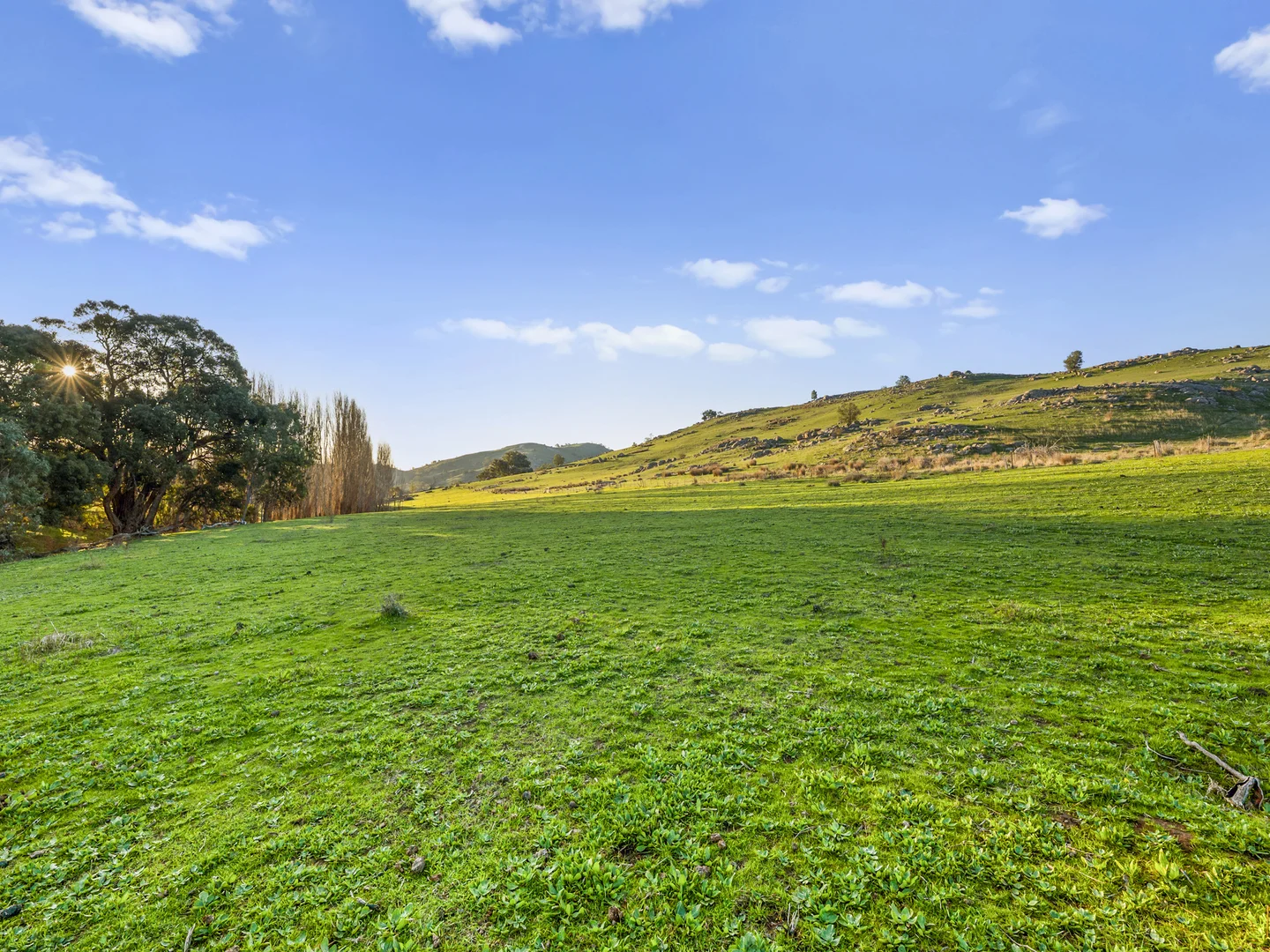 Additional image 43 of 304 Sheans Creek Road, Sheans Creek VIC 3666