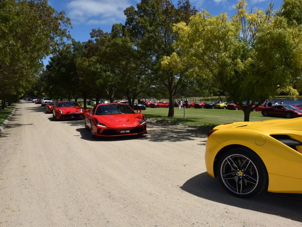 Additional image 33 of Harrisons Road, Dromana VIC 3936