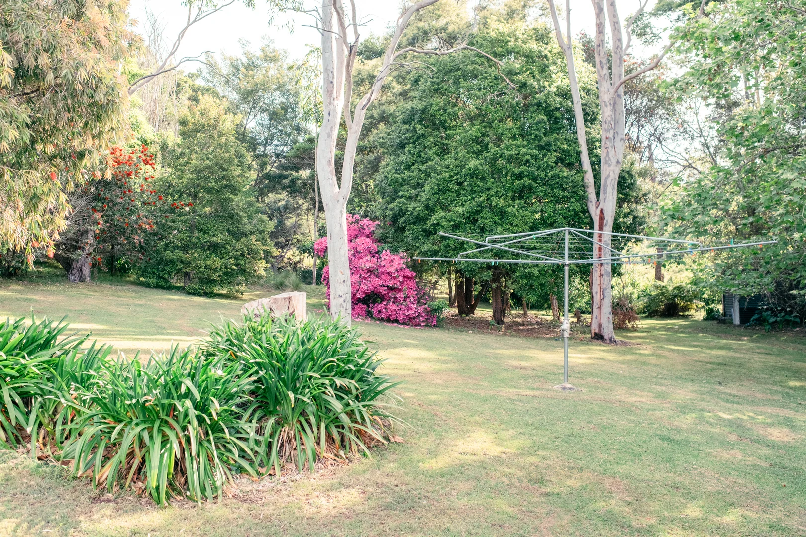 Additional image 30 of 11 Weemala Crescent, Bawley Point NSW 2539