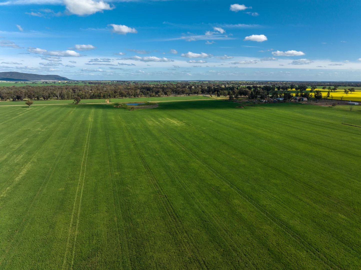 Additional image 3 of 'Ingaladdie' 101 Piney Range Hall Road, Piney Range NSW 2810