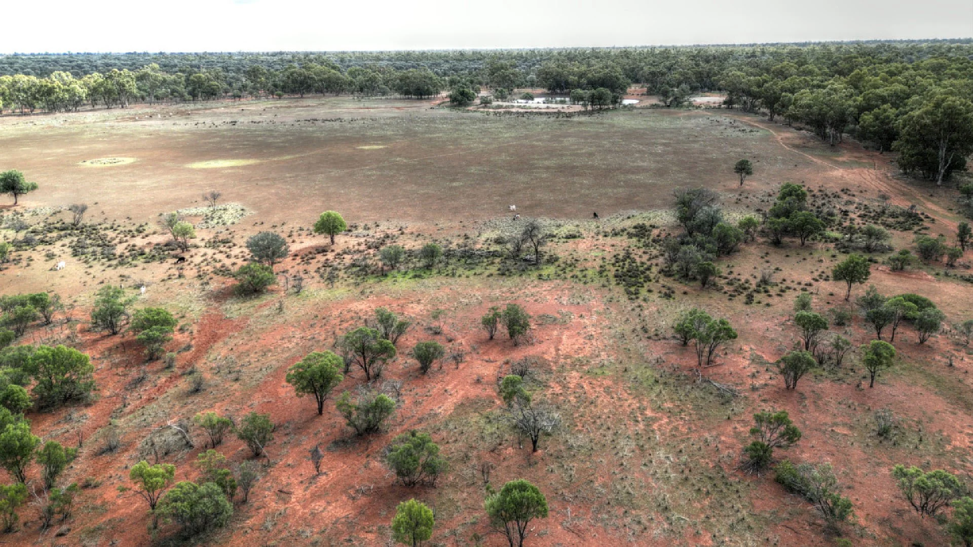 Additional image 9 of "Nardoo" Station 872 Davidson Road, Gunderbooka NSW 2840