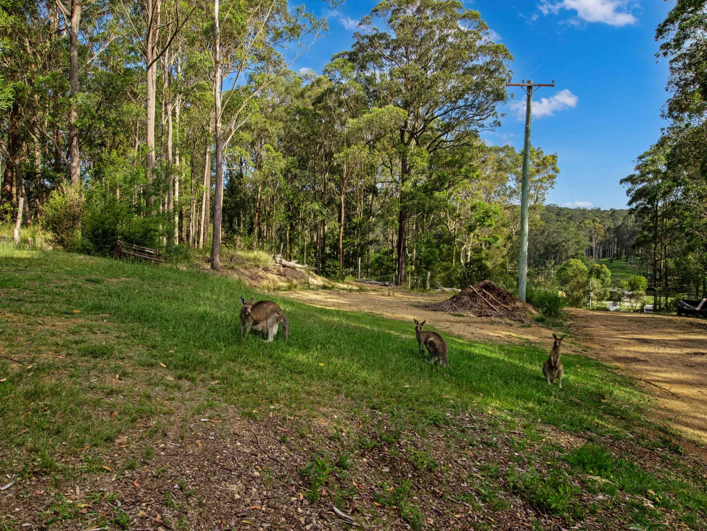 Additional image 34 of 11187 Princes Highway, Benandarah NSW 2536