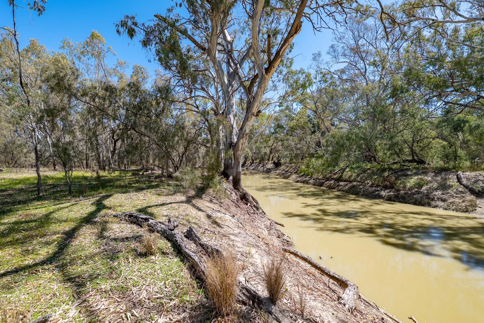 Additional image 34 of 901 Lachlan River Road, Hillston NSW 2675