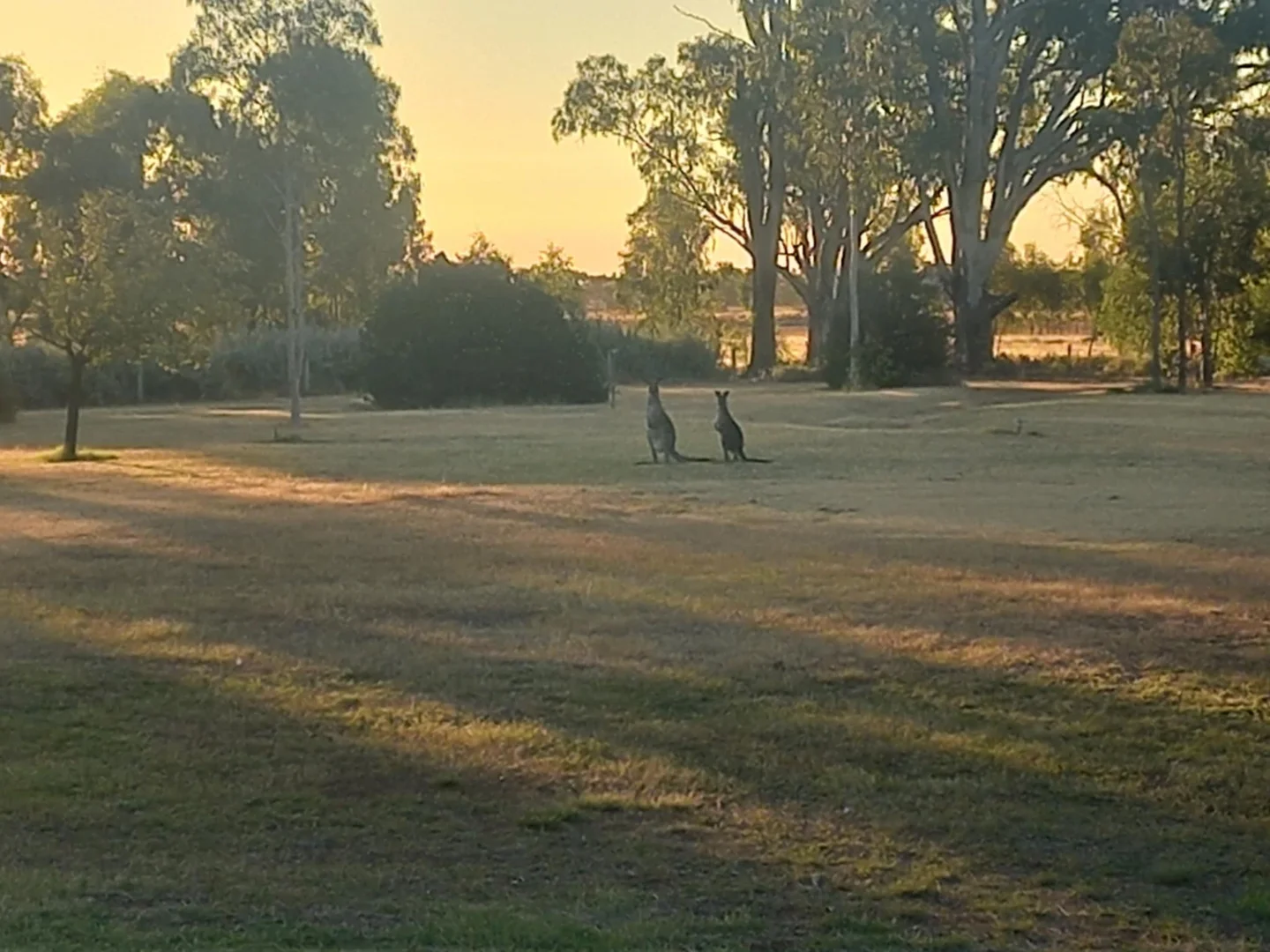 Additional image 19 of 1207 Fraser Road, Niemur NSW 2733