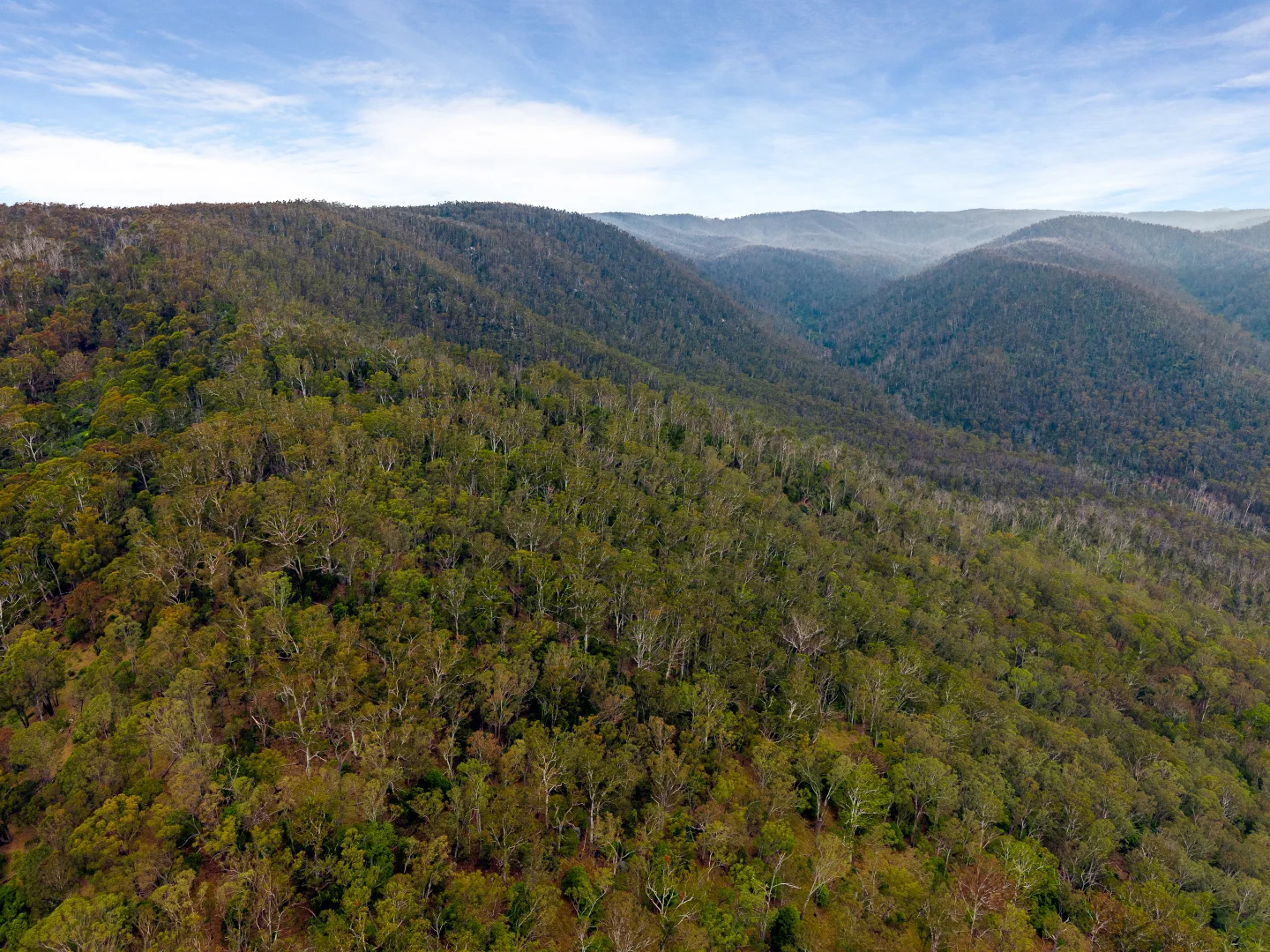 Additional image 12 of Candelo NSW 2550