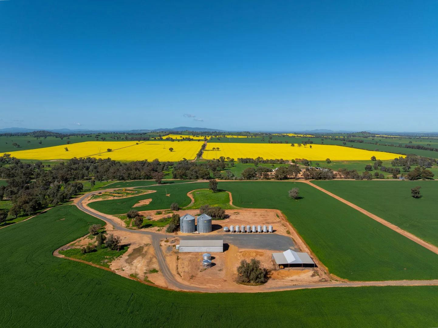 Additional image 6 of 484 Merri Meric Road, Henty NSW 2658