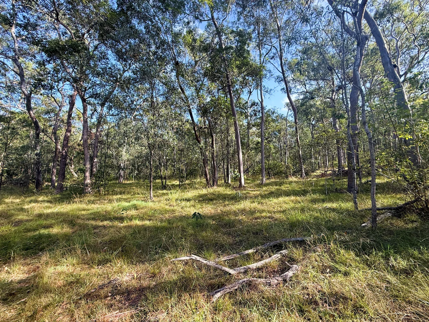Additional image 10 of Lot 10/931 Nearum Road, Nearum QLD 4671