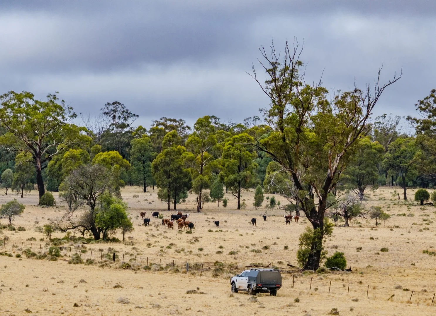 Additional image 5 of 'Woroona' & 'Tralee' 936 Boorr Hill Road, Parkes NSW 2870