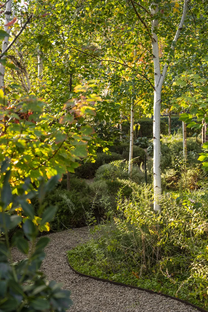 Additional image 29 of 63 Walpole Street, Kew VIC 3101