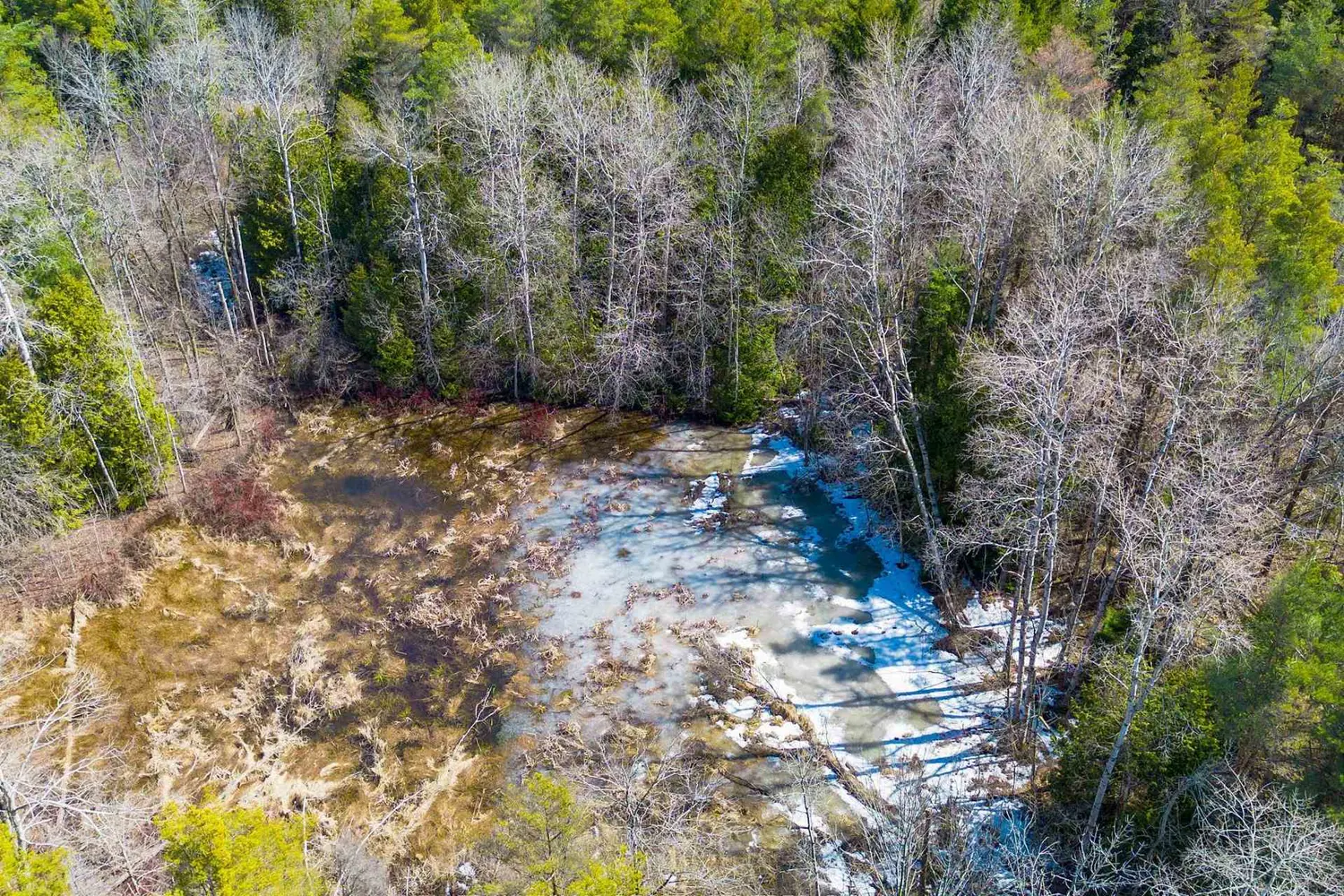 Additional image 15 of Tba Concession Rd 2