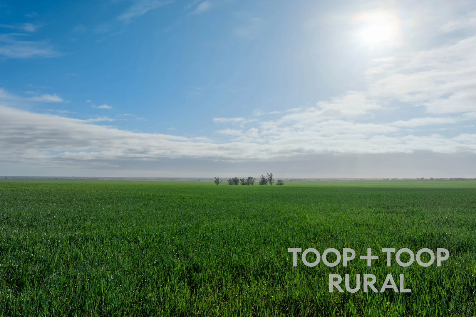 Additional image 7 of 735 Koch Road (via Loxton), Taldra SA 5311