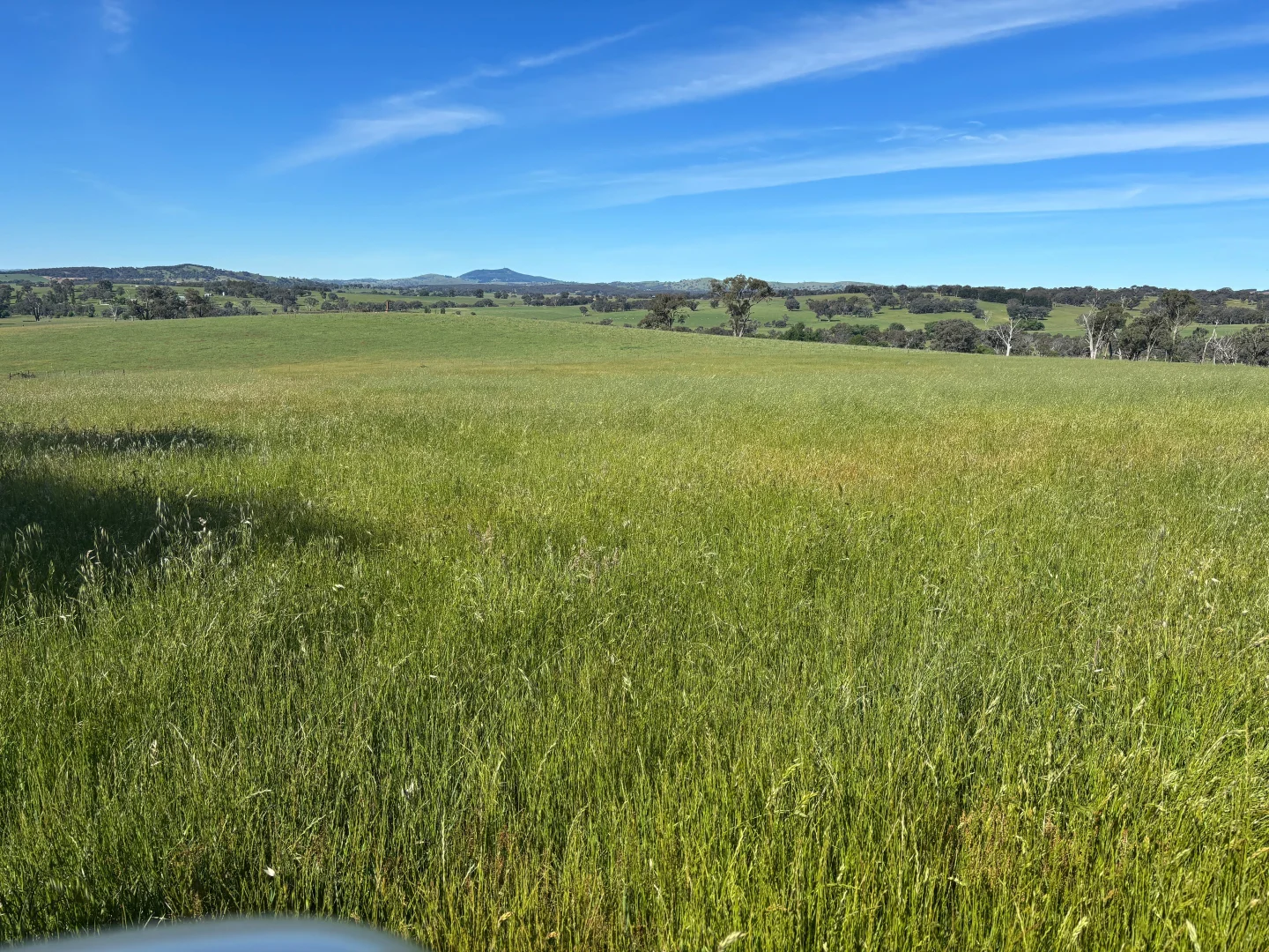 Additional image 19 of 1050 Garland Road, Garland NSW 2797