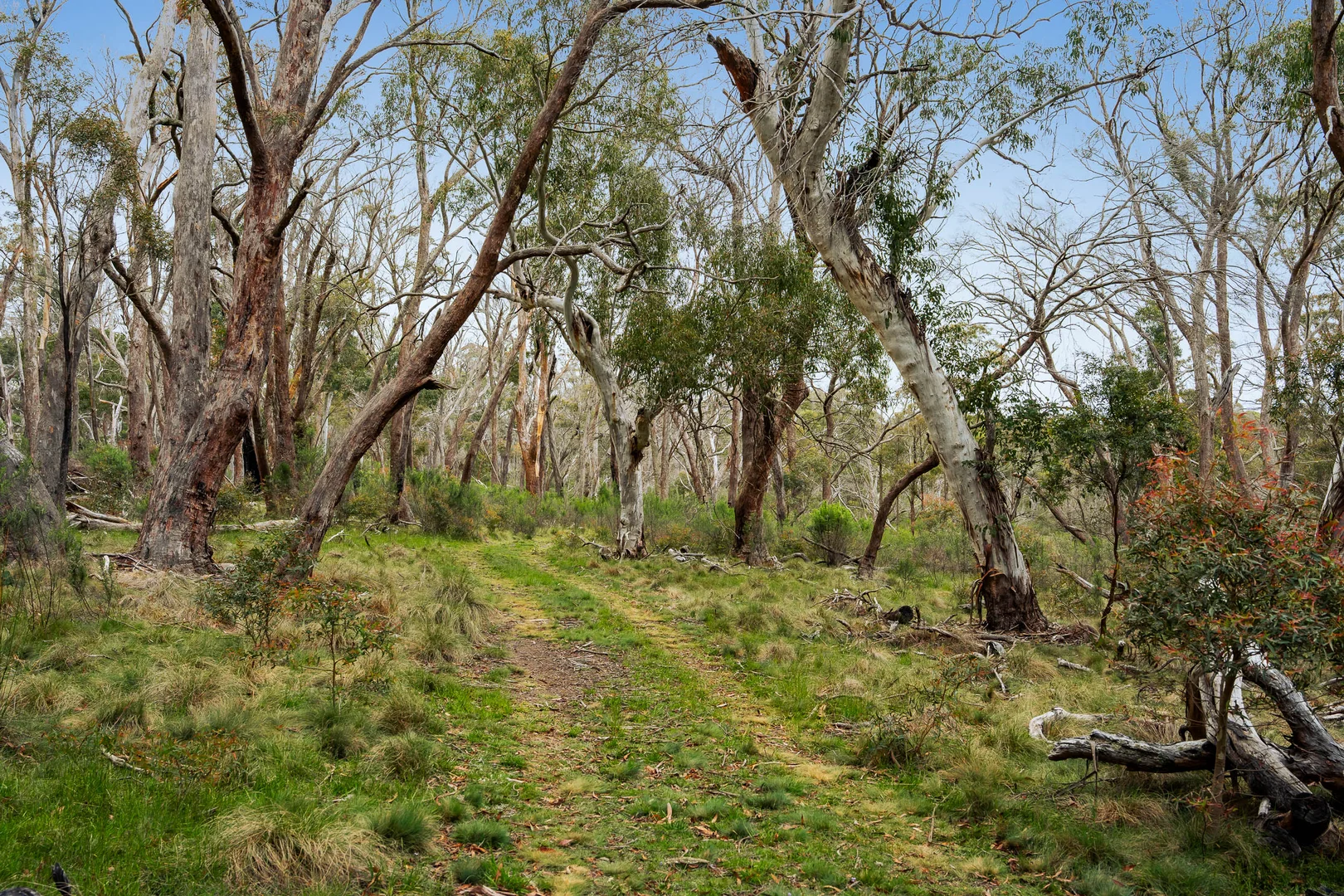 Additional image 6 of 153 Wiarborough Road, Wiarborough via, Taralga NSW 2580