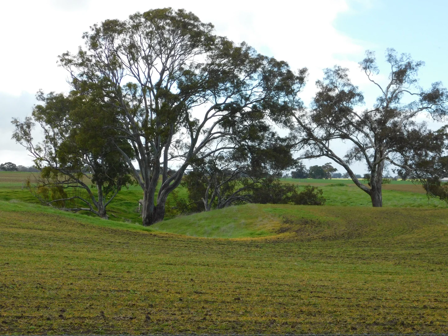 Additional image 21 of 16472 Dukes Hwy, Bordertown SA 5268