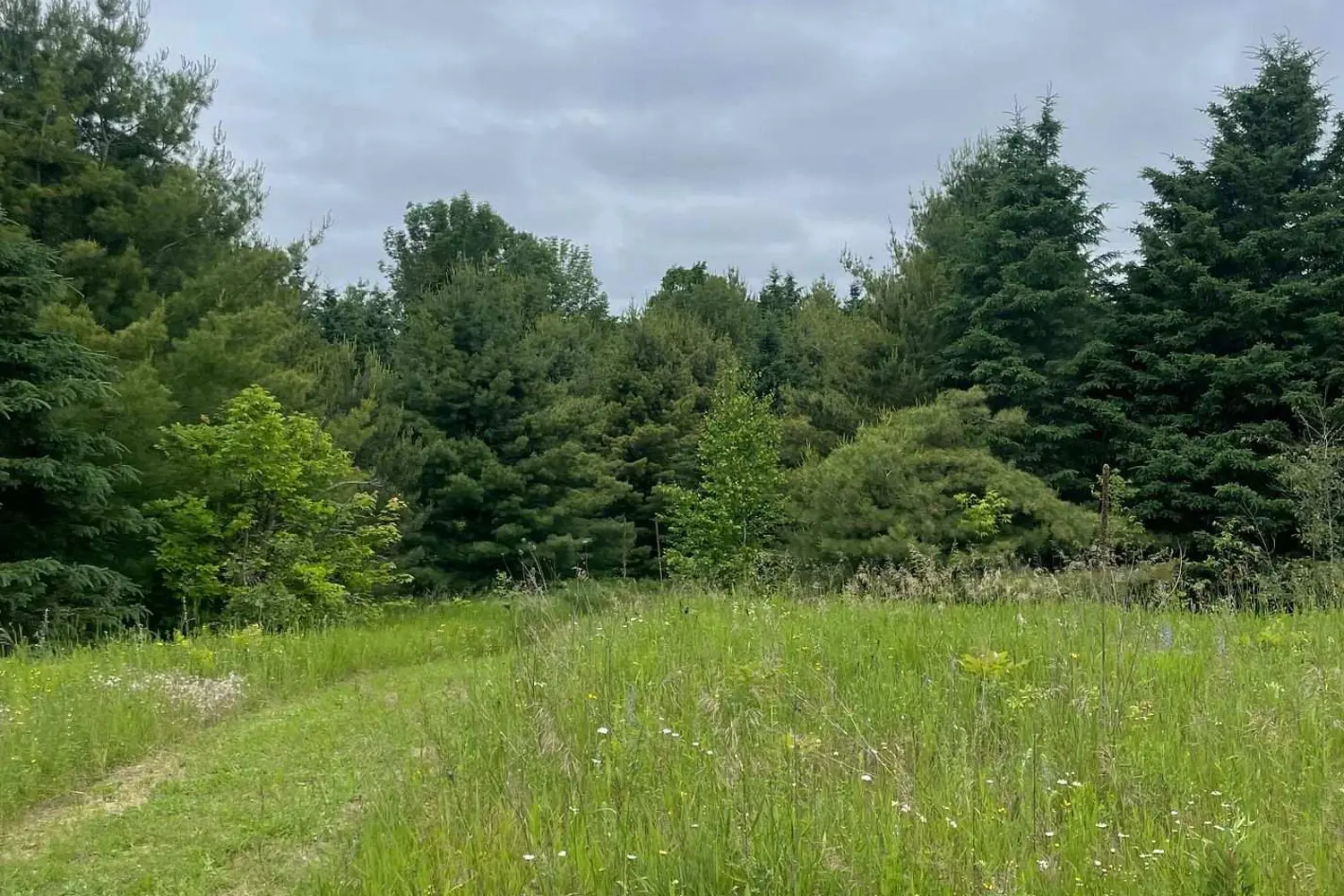 Additional image 6 of 79 Gummow Road