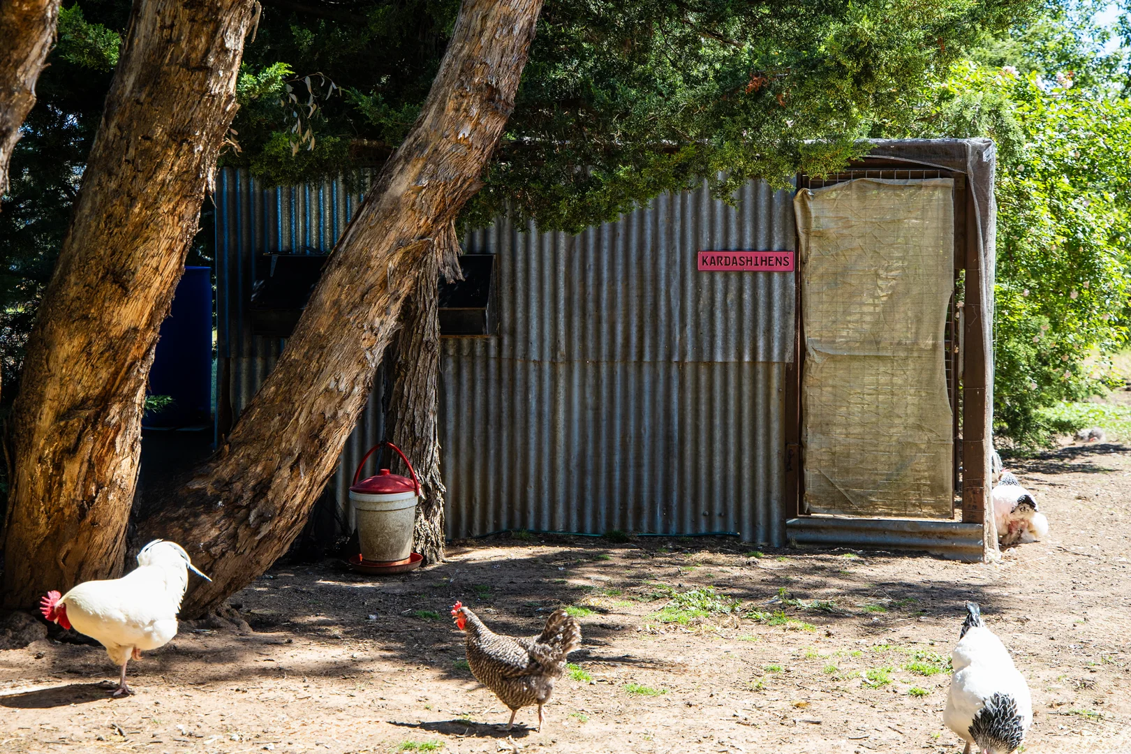 Additional image 38 of 2775 Barton Highway, Murrumbateman NSW 2582