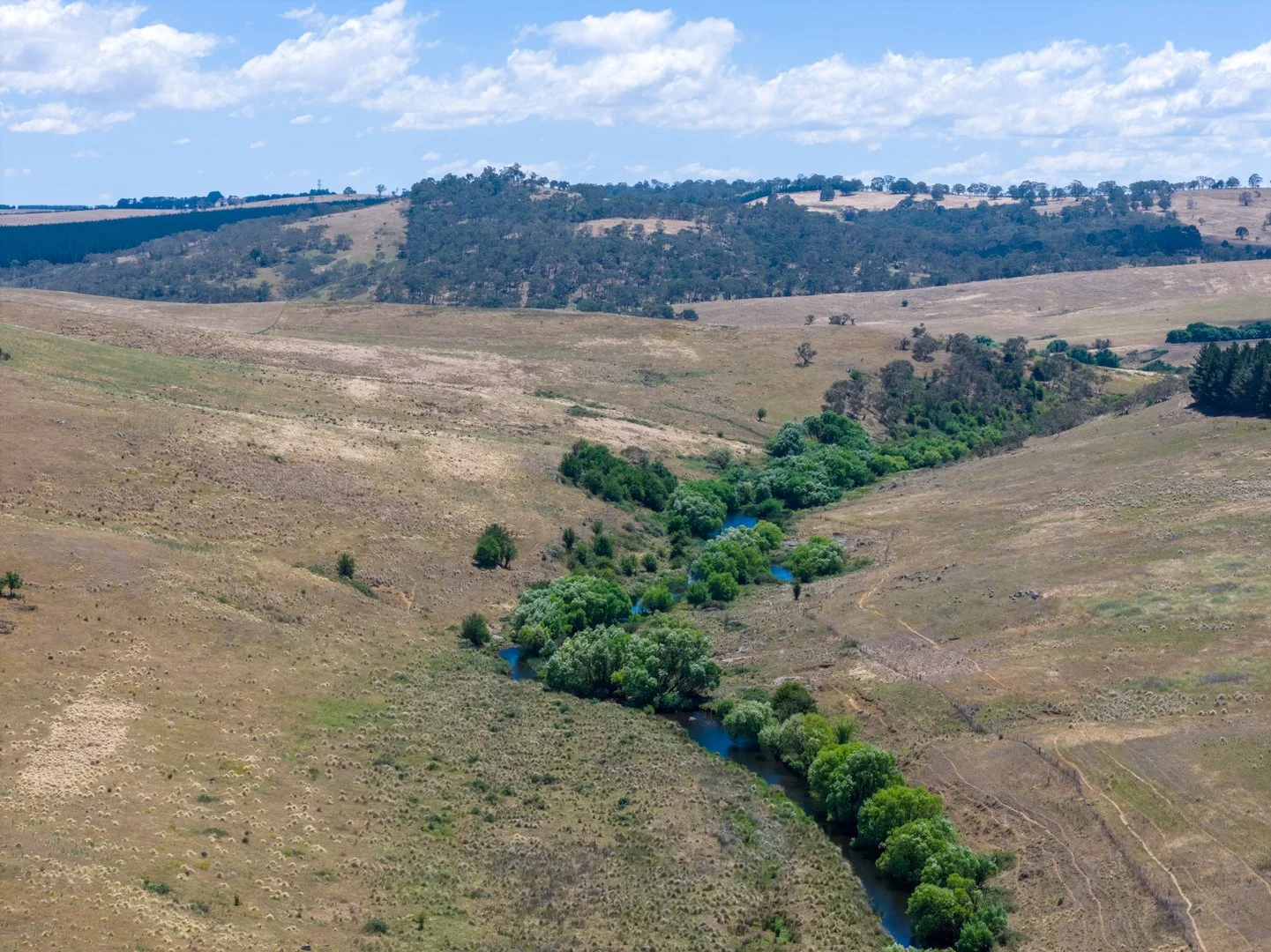 Additional image 24 of 77 Aerodrome Road, Bombala NSW 2632