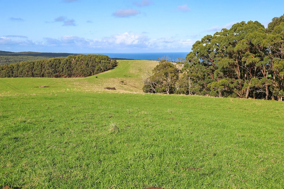 Additional image 15 of 105 Stafford Road, Johanna VIC 3238