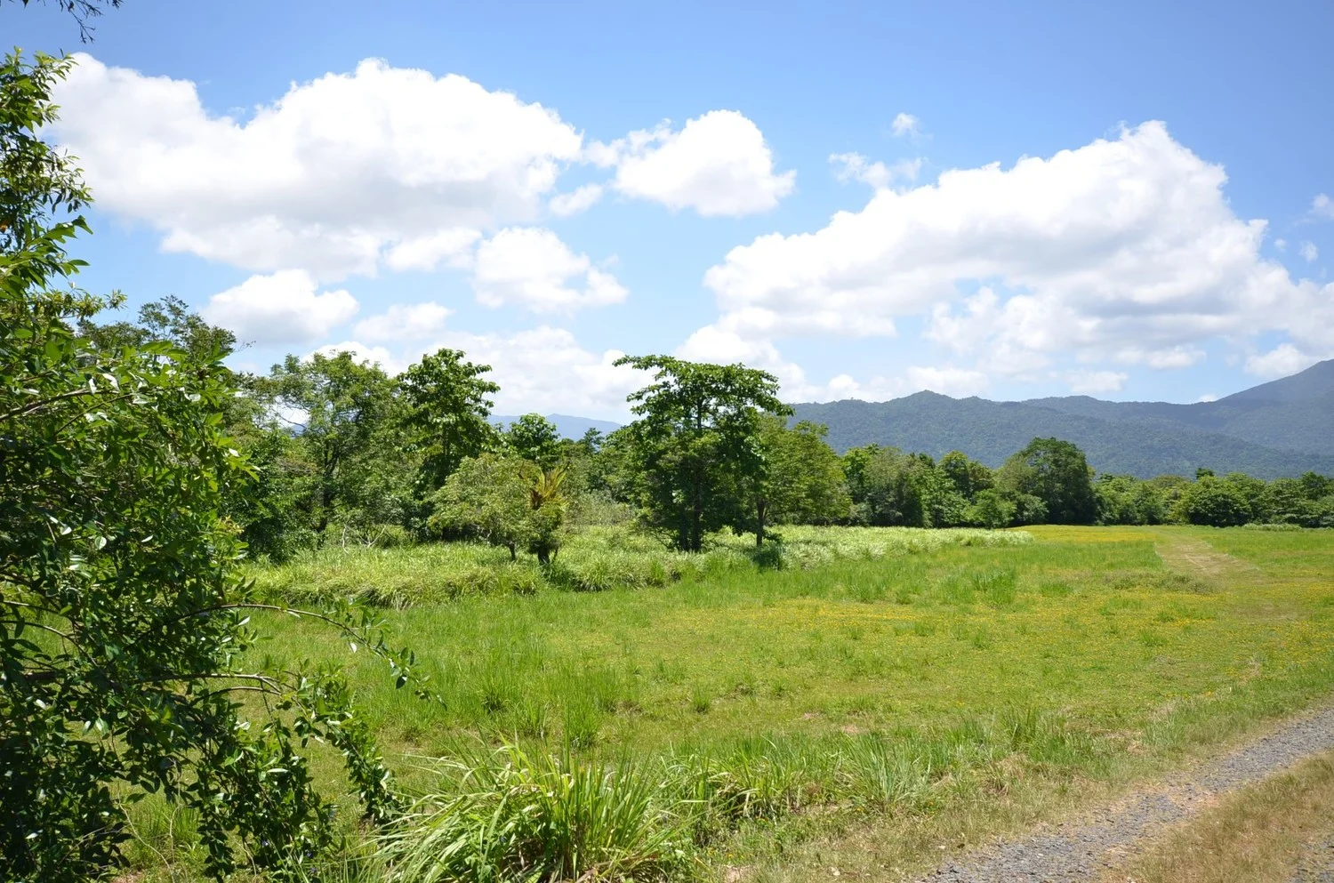 Additional image 8 of Lot 9&10 Kruckow Road, East Russell QLD 4861