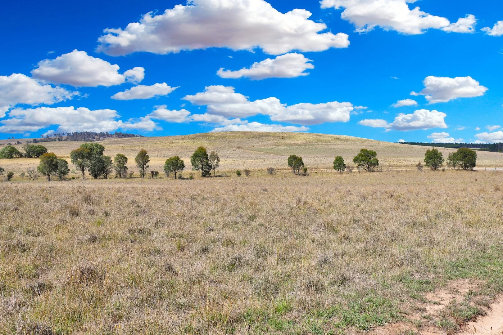 Additional image 20 of 77 Aerodrome Road, Bombala NSW 2632