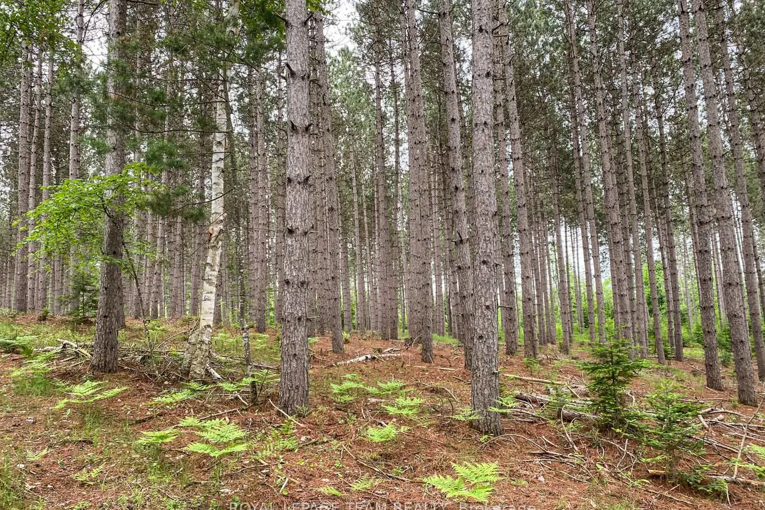 Additional image 13 of 1477 Watsons Corners Road