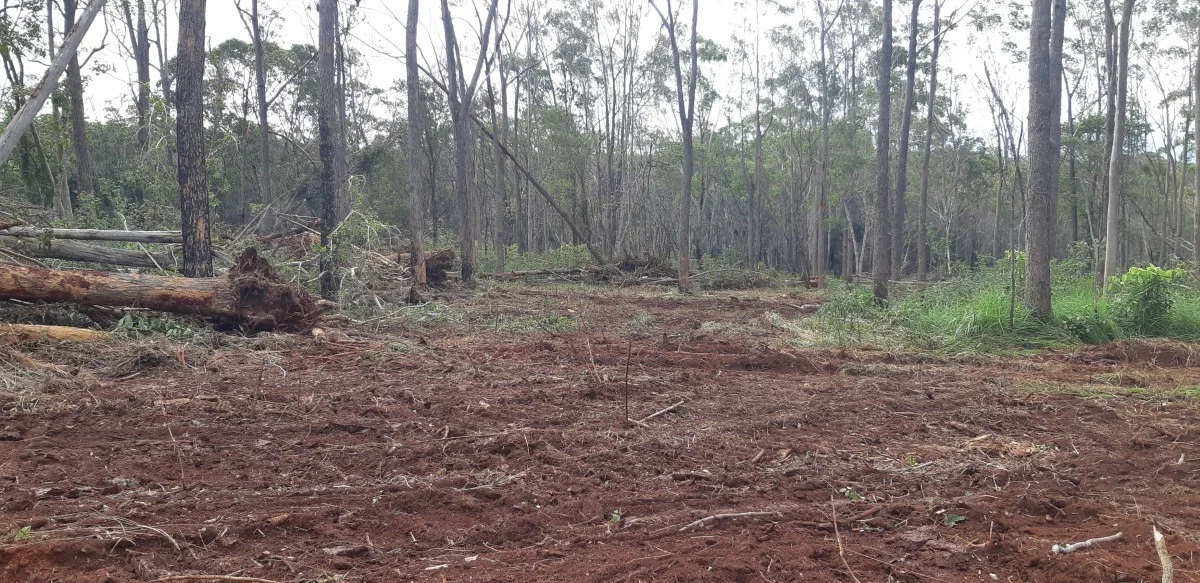 Additional image 16 of 405 Oak Hills Road, Mount Fox QLD 4850