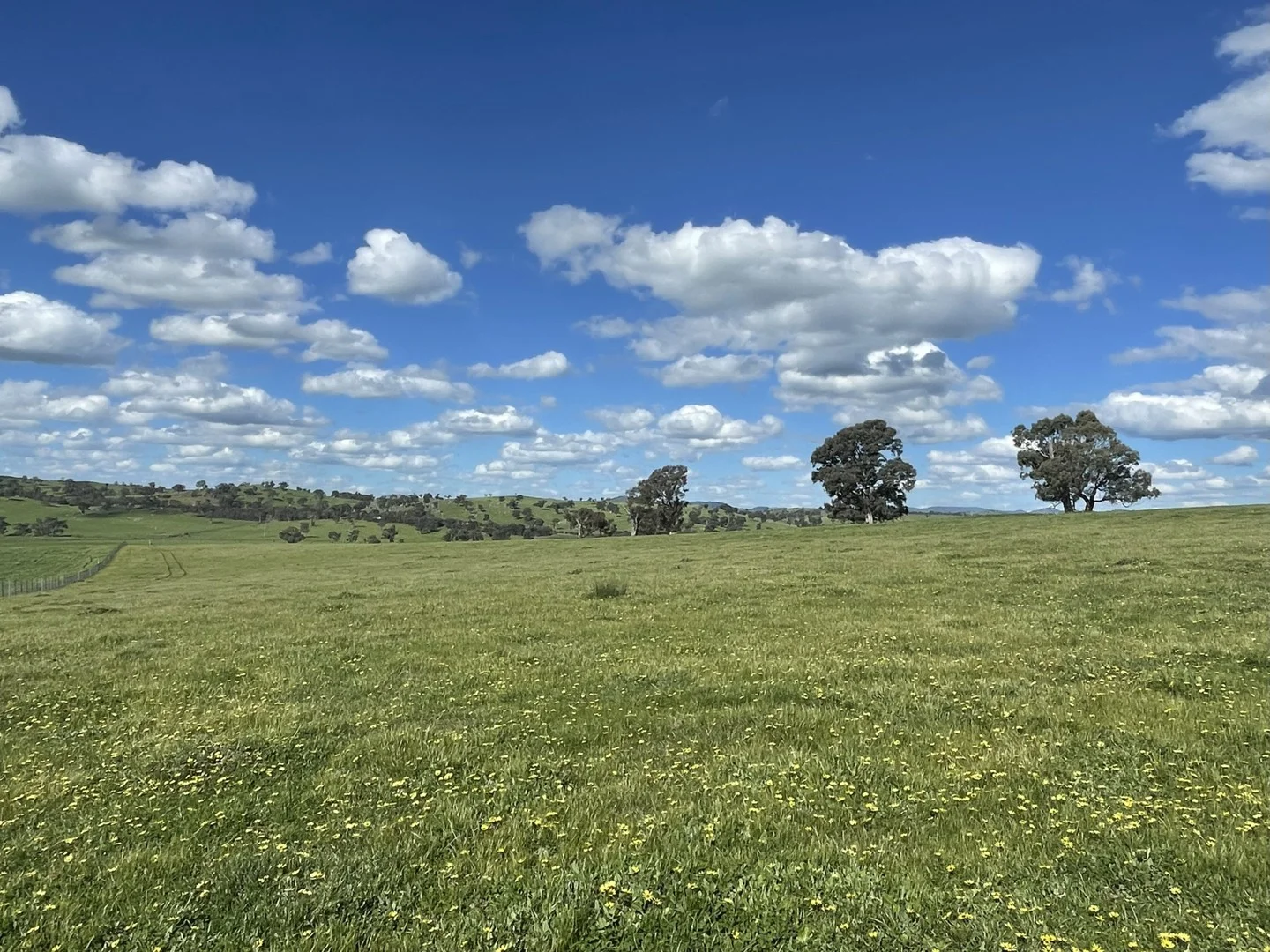 Additional image 6 of Lot Lot 4-5/3 Cooney's Creek Road, Jugiong NSW 2726