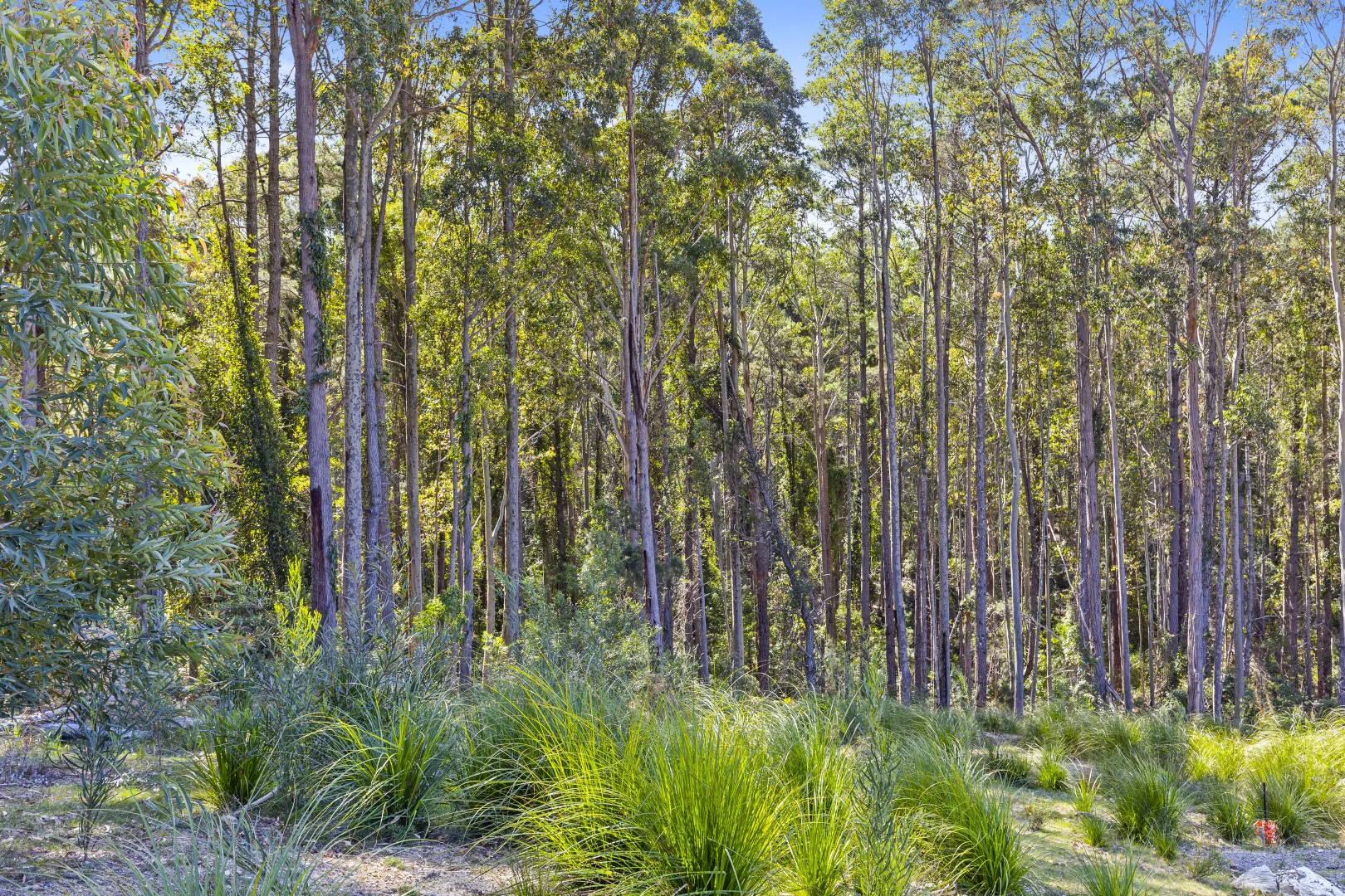 Additional image 2 of Lot 31/ Lot 67 Northcove Road, Long Beach NSW 2536