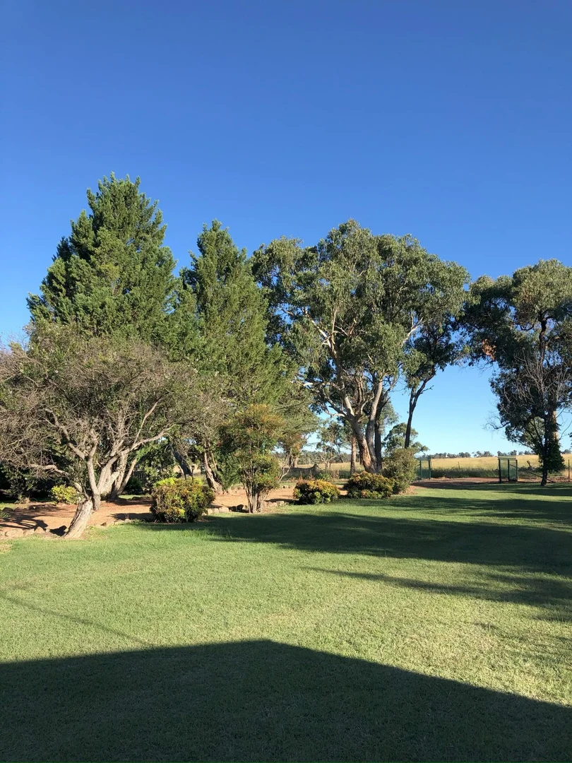 Additional image 3 of 1254 Nant Park Road, Deepwater NSW 2371