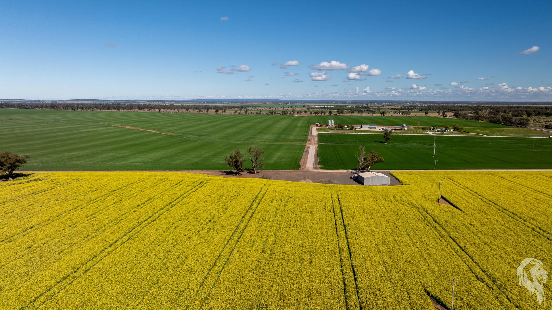 Additional image 6 of 13012 Newell Highway, Narrabri NSW 2390