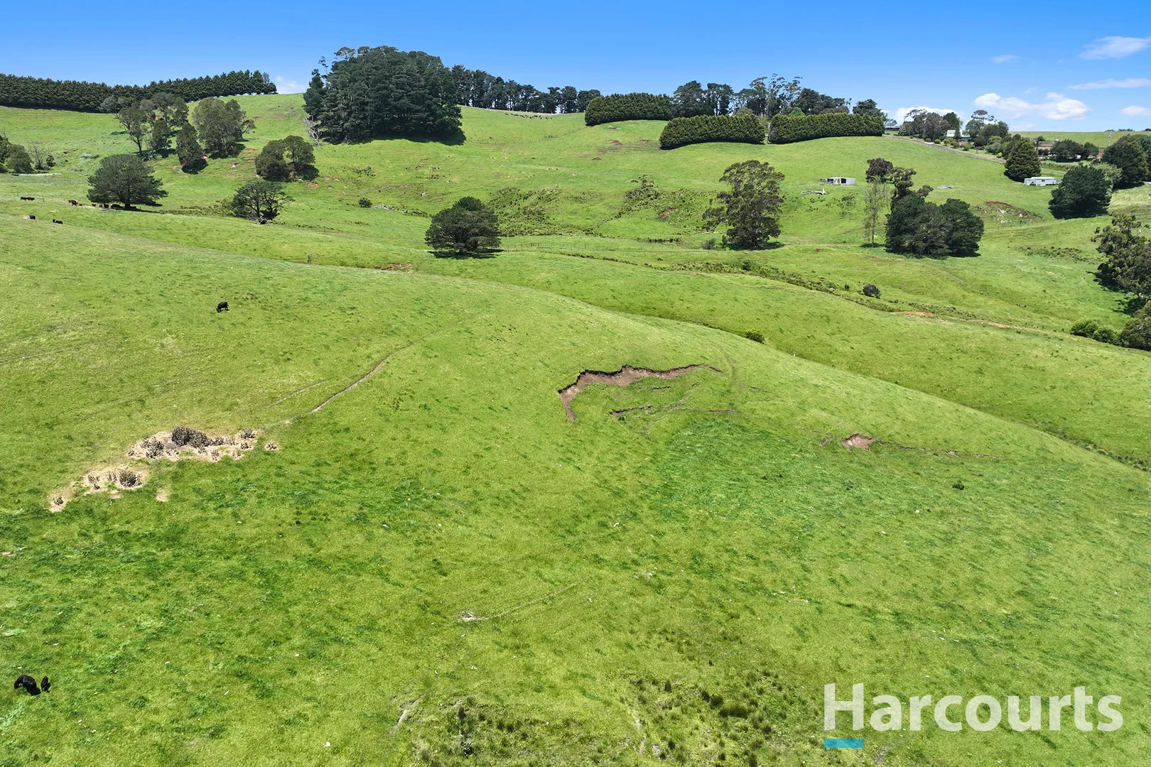 Additional image 9 of 1246 Trafalgar Thorpdale Road, Trafalgar South VIC 3824