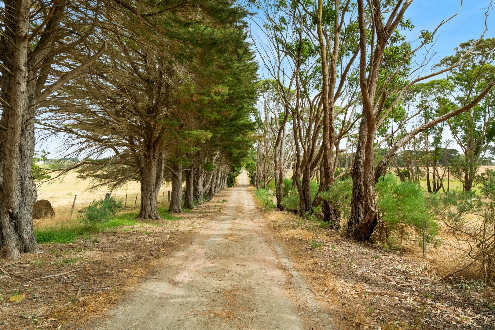 Additional image 33 of 579 Ellerslie-Panmure Road, Framlingham East VIC 3265