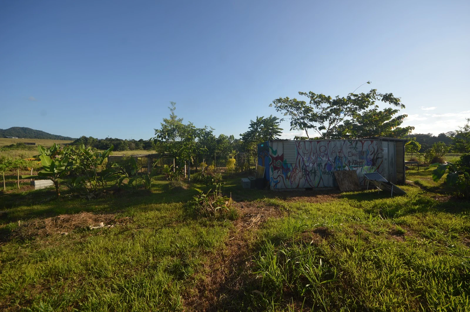 Additional image 15 of 1212 Innisfail Japoon Road, Camp Creek QLD 4871