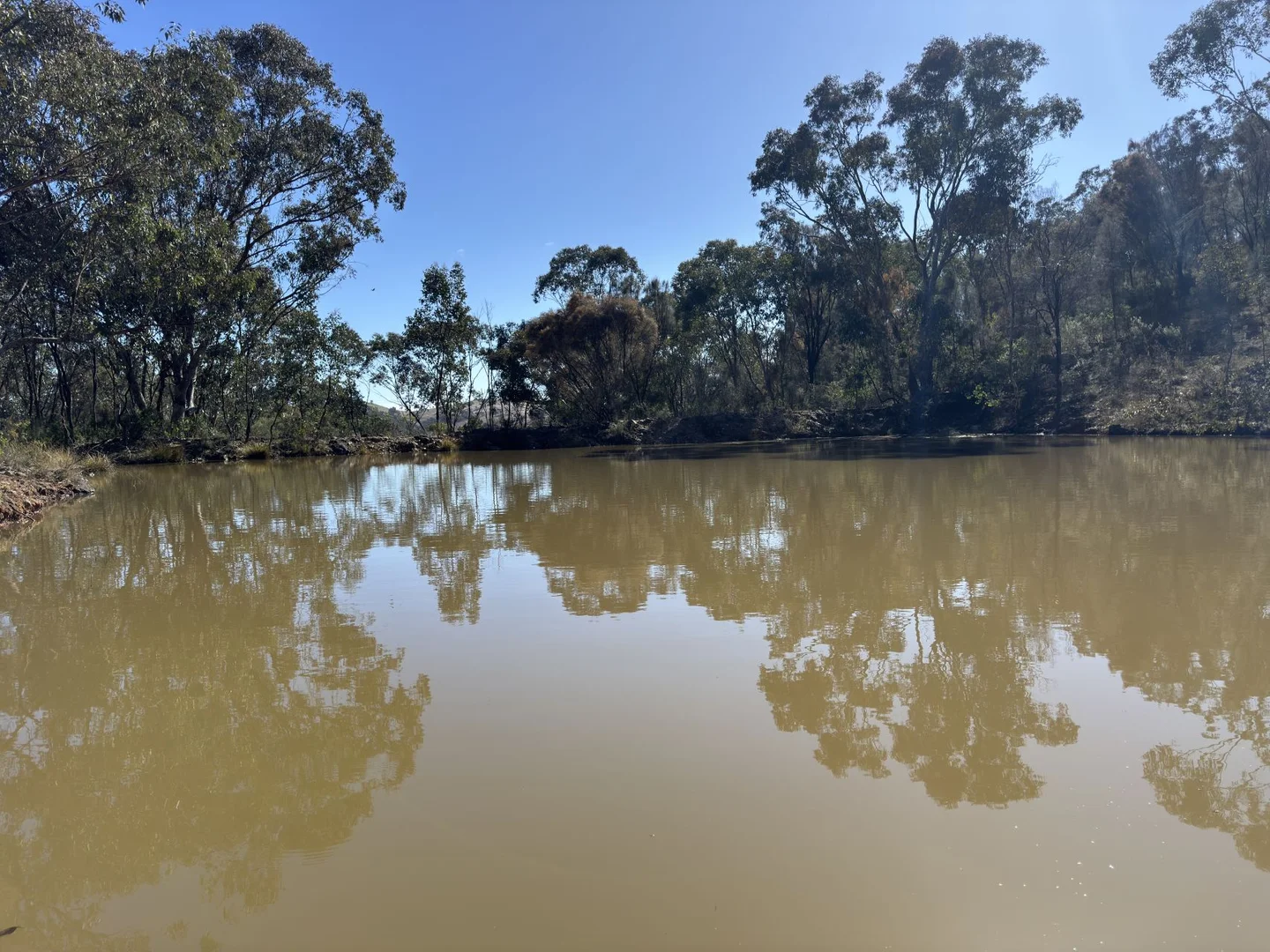 Additional image 9 of 206 Roberts Road, Mudgee NSW 2850